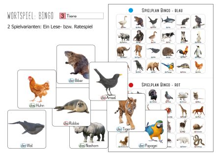 Bingo Tiere
