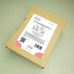 Die Satzkartenschachtel 2, geschlossen