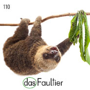 vor dem Käfig eines Faultiers im Tiergarten