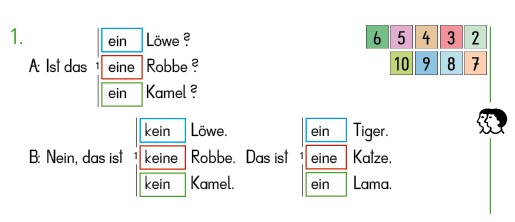 Fragesatz mit verneinter Antwort und Entgegnung: ein/kein